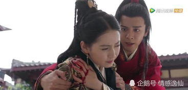短剧抢婚！陆总蓄谋已久免费在线观看_陆总的夺心婚约--第1张