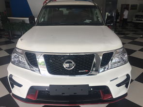 尼桑suv大型_尼桑suv大型v8--第1张