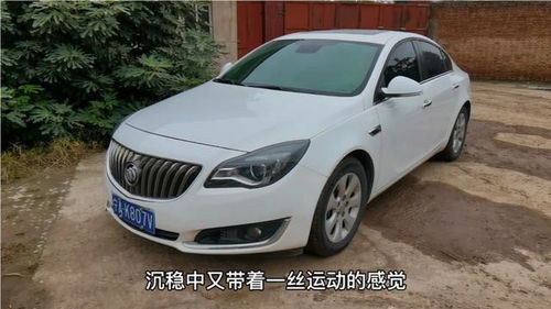 买君威的人傻不傻_买君威的人傻不傻呀--第1张