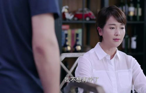短剧离婚后，冷艳前妻跪求上位免费在线观看_离婚后,冷酷前夫变成了粘人精--第1张