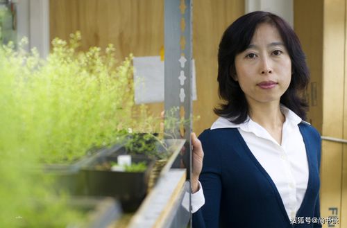 短剧我的二十六岁女房客们$傻了吧，你的室友都是美女免费在线观看--第1张