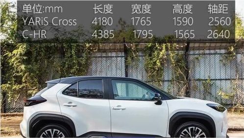 一汽丰田suv价格表_一汽丰田suv价格表图片--第1张