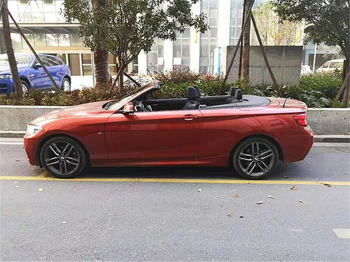 宝马2系敞篷跑车_宝马2系敞篷跑车二手--第1张