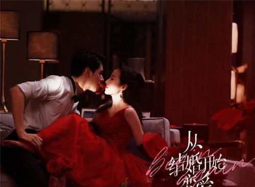 短剧娶个豪门霸总当皇后免费在线观看_娶豪门女--第1张