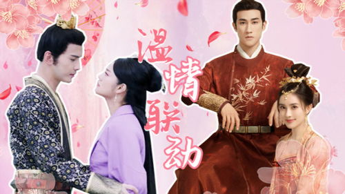 短剧双骄夫妇免费在线观看_双娇是什么电视剧女主--第1张