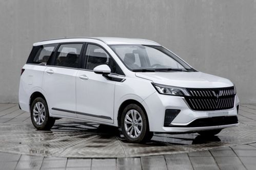 2022十大建议买的7座mpv_7座mpv便宜点的买哪个好--第1张