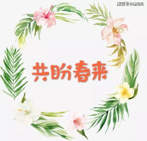 短剧爱在陌上花开时免费在线观看_爱在花丛中 歌曲--第1张