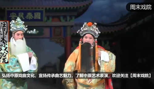 短剧驸马凶猛免费在线观看_驸马片段--第1张
