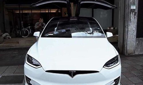 特斯拉suv有几款车型_特斯拉suv有几款车型型号--第1张