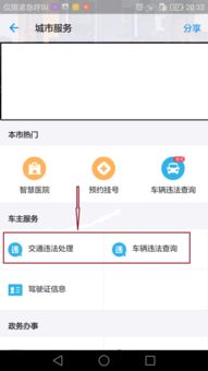 全国交通违章查询1234_全国交通违章查询系统官网手机版--第1张