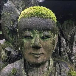 短剧我的神灯大人免费在线观看_我的灯神大人图片--第1张
