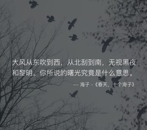 短剧恰似人间芳菲尽免费在线观看_恰似人间烟火下一句--第1张