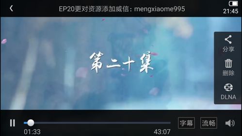 短剧十里春风不如你免费在线观看_十里春风不如你 在线--第1张