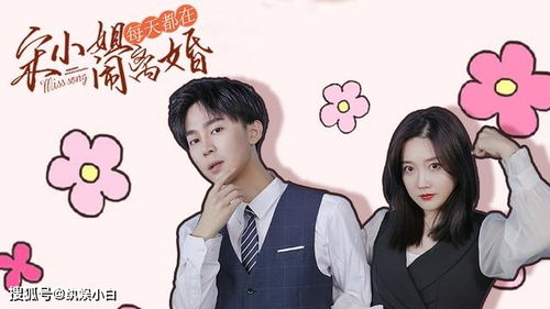 短剧陆总夫人野又甜免费在线观看_陆总夫人又闹离婚了全文免费阅读--第1张