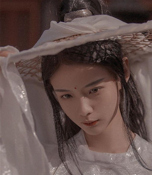 短剧傻王丑妃免费在线观看_傻王的丑妃--第1张