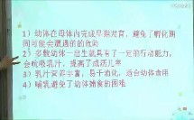 短剧从前慢侯呈玥免费在线观看_从前慢讲的什么--第1张