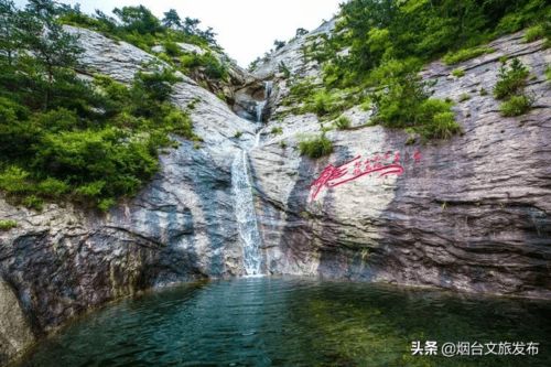 短剧南特助又又又逃跑了免费在线观看--第1张