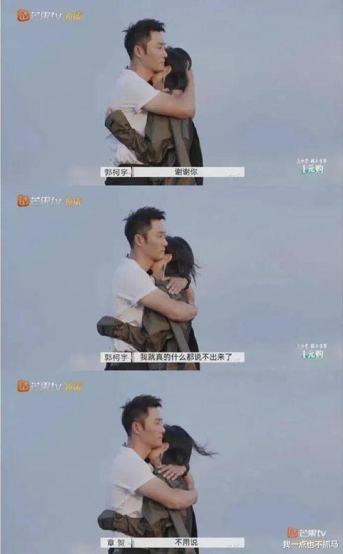 短剧拒绝复婚的又美又飒免费在线观看_拒绝复合的图片--第1张