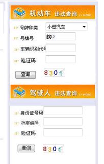 交通违规查询_交通违章查询入口--第1张