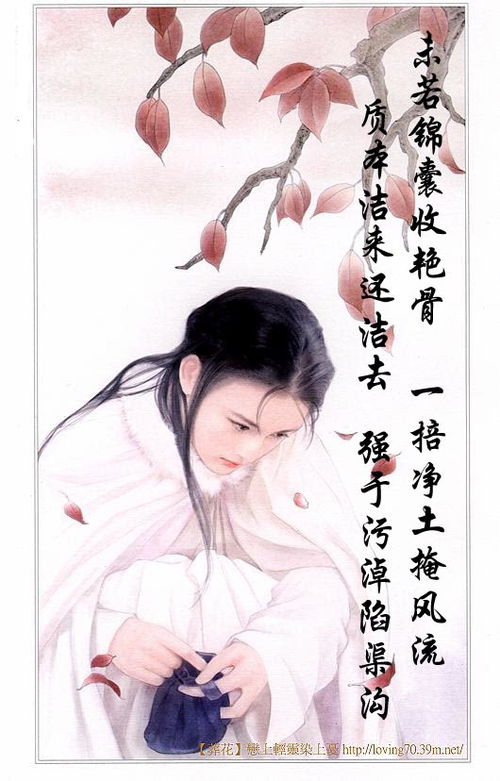 短剧繁花初见不知返免费在线观看_繁花似落无弹窗--第1张