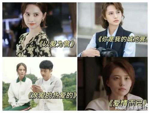 短剧谁懂啊，霍总是个恋爱脑免费在线观看_霍总是什么意思--第1张
