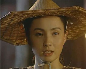 短剧太子英明穿越剧免费在线观看_太子穿越记--第1张