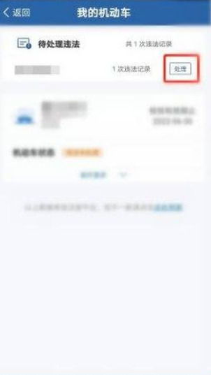 交管12123违章查询处理_交管12123违章查询处理要多久--第1张