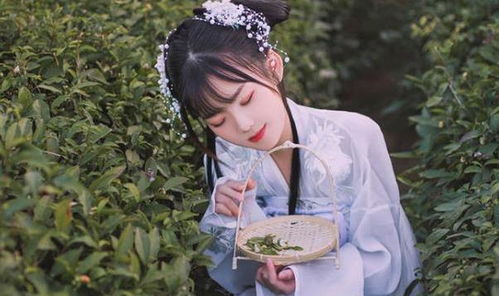 短剧平步青云，离婚后我走上人生巅峰免费在线观看--第1张