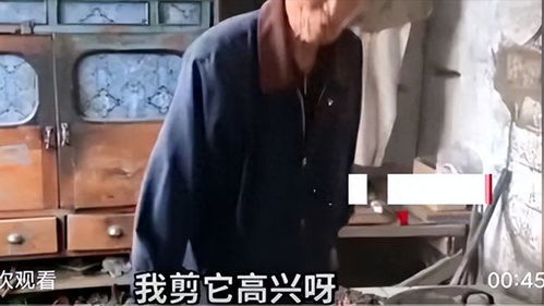 短剧赚钱从捡破烂开始免费在线观看_从捡破烂到富豪--第1张