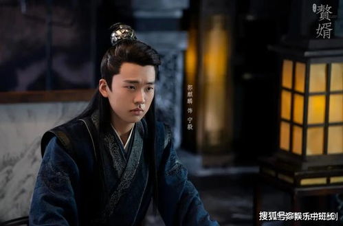 短剧傻子龙婿第二部免费在线观看_傻子赘婿龙隐--第1张