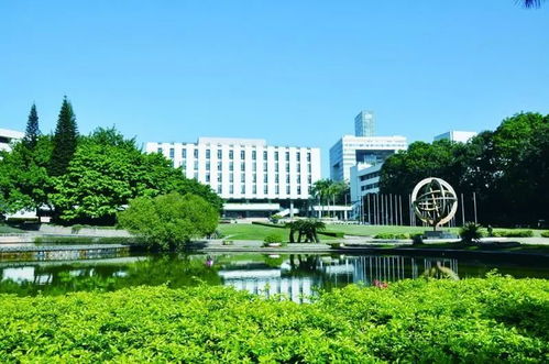 短剧极寒九十九免费在线观看_极寒2021--第1张