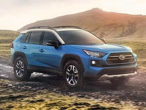 rav4--第1张