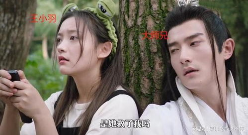 短剧大师兄为何不娶我免费在线观看_大师兄怎么那么懒--第1张