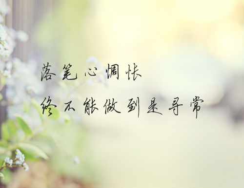 短剧我不愿让你一个人林籽蓉免费在线观看_我不愿让你一个人mv故事--第1张