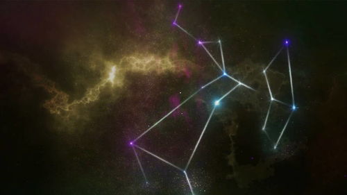 星座表十二星座查询射手女_十二星座射手座资料--第1张