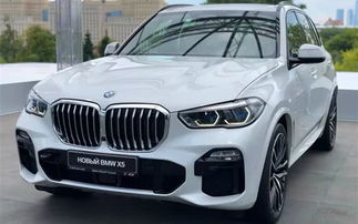 2020款宝马x5_2020款宝马x530i运动版--第1张