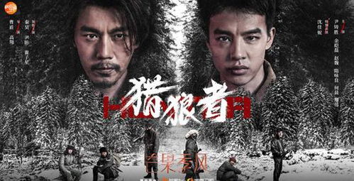 短剧战凰免费在线观看_电视剧战鹰最新消息--第1张