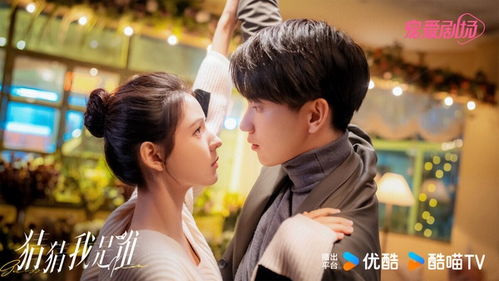 短剧诱她上瘾免费在线观看_诱他上瘾--第1张