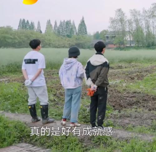 短剧谢先生，我不想爱你了免费在线观看_谢先生情谋已久全文免费阅读--第1张