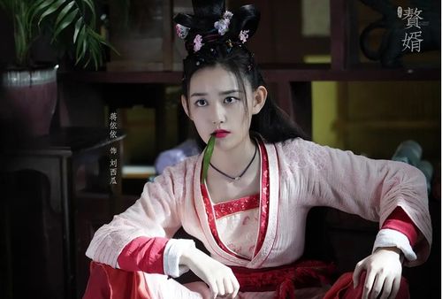 赘婿小曦大结局是什么意思_赘婿小姐是谁--第1张