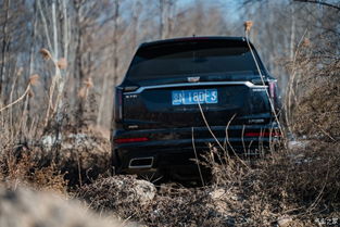 凯迪拉克xt6怎么样_凯迪拉克xt6怎么样汽车之家论坛--第1张