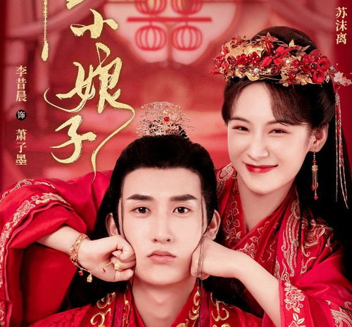 短剧王爷，你找错王妃了穿越剧免费在线观看_王爷错怪王妃--第1张