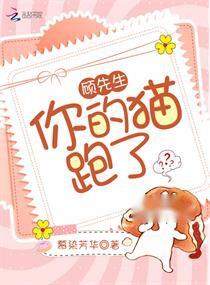 短剧顾先生，请你先告白免费在线观看_顾先生请别跑全文免费阅读--第1张