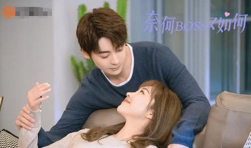 短剧错爱情深，靳总请离婚免费在线观看_错情总裁甜蜜爱全文阅读--第1张