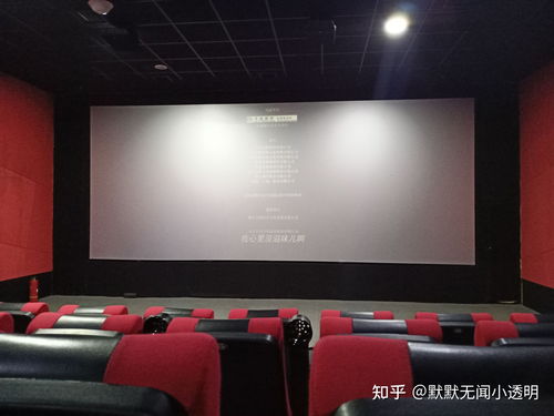 短剧你好，李桂英免费在线观看_你好!李焕英免费播放--第1张