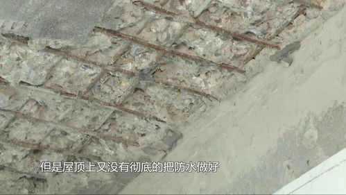 短剧都市惊龙$枭龙免费在线观看_都市枭龙小说--第1张