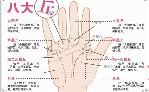 十二星座手相运势查询表_12星座手势密码图案大全--第1张