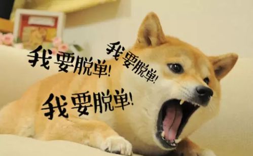 短剧我再也不想恋爱了&我有九千万亿舔狗金免费在线观看--第1张