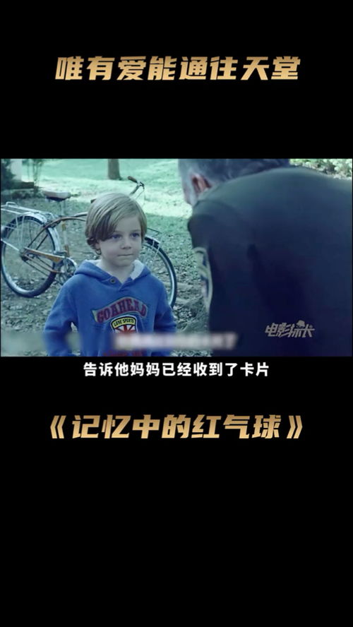 短剧世界对我温柔以待免费在线观看_世界对我很温柔--第1张