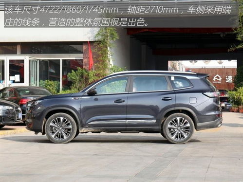 奇瑞瑞虎8plus报价2022款_奇瑞瑞虎8plus报价2022款七座--第1张